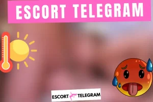 Lire la suite à propos de l’article Escort Telegram Torino 