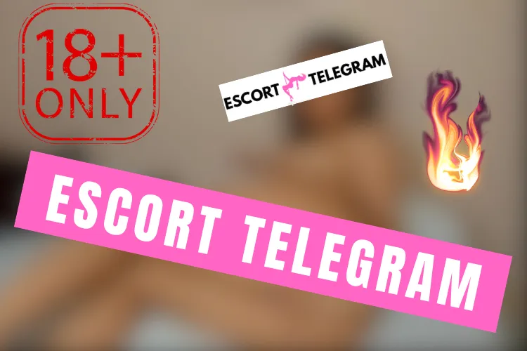 Pendik Escort Telegram 