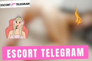Lire la suite à propos de l’article Telegram Escorte Toulon 