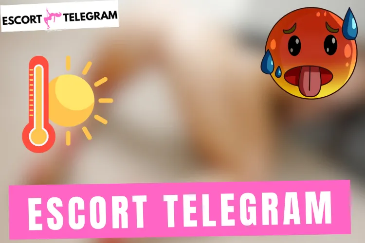 Lire la suite à propos de l’article Escort Shemale Telegram 