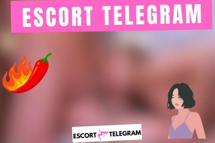 Lire la suite à propos de l’article Escort Zona Sur Telegram 