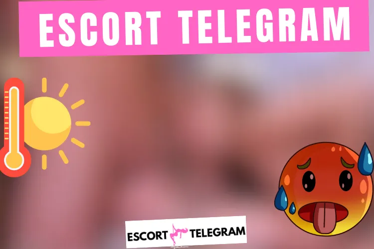 Lire la suite à propos de l’article Escort Video Telegram 