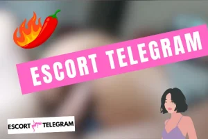 Lire la suite à propos de l’article Grupos De Telegram Escort 