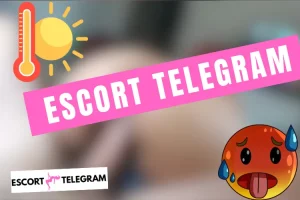 Lire la suite à propos de l’article Kocaeli Escort Telegram 