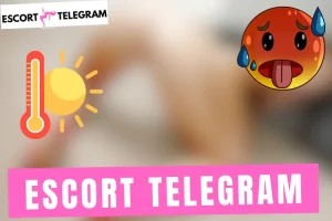 Lire la suite à propos de l’article Escorts Guadalajara Telegram 