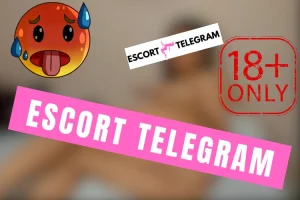 Lire la suite à propos de l’article Mersin Escort Telegram 