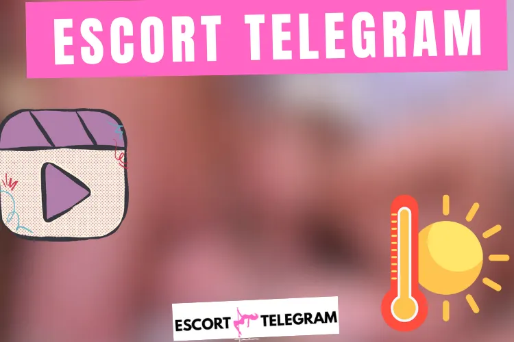 Lire la suite à propos de l’article Escort Cordoba Telegram 