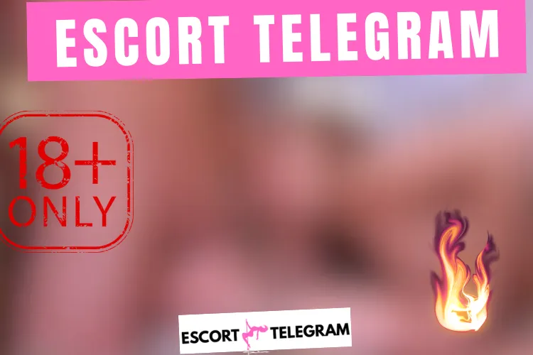 South Africa Escort Telegram 